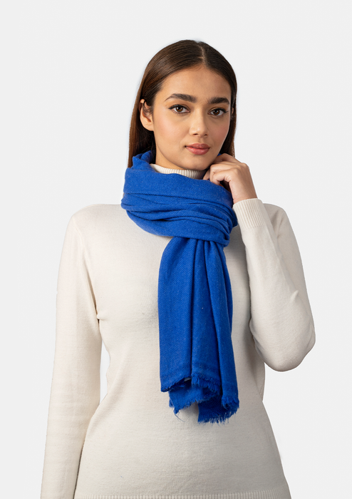 Royal  Blue Pure Pashmina Shawl