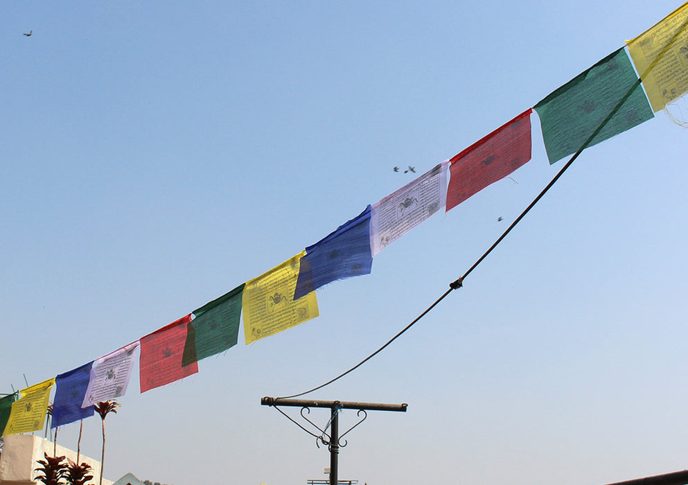 Tibetan Windhorse Prayer Flags